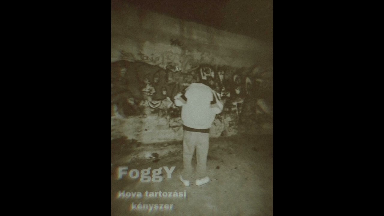 FoggY - Hova Tartoz&aacute;si K&eacute;nyszer