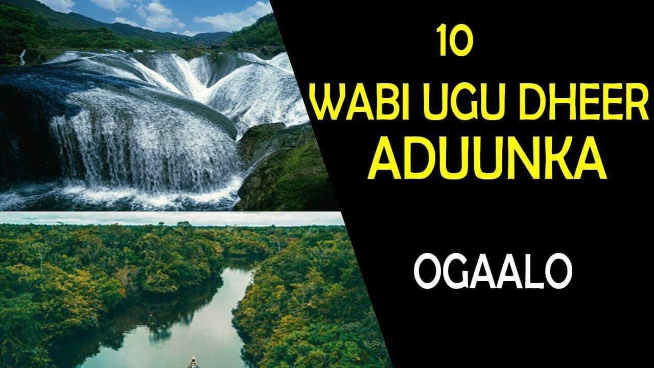 10 wabi ee ugu dheer caalamka#OGAALO