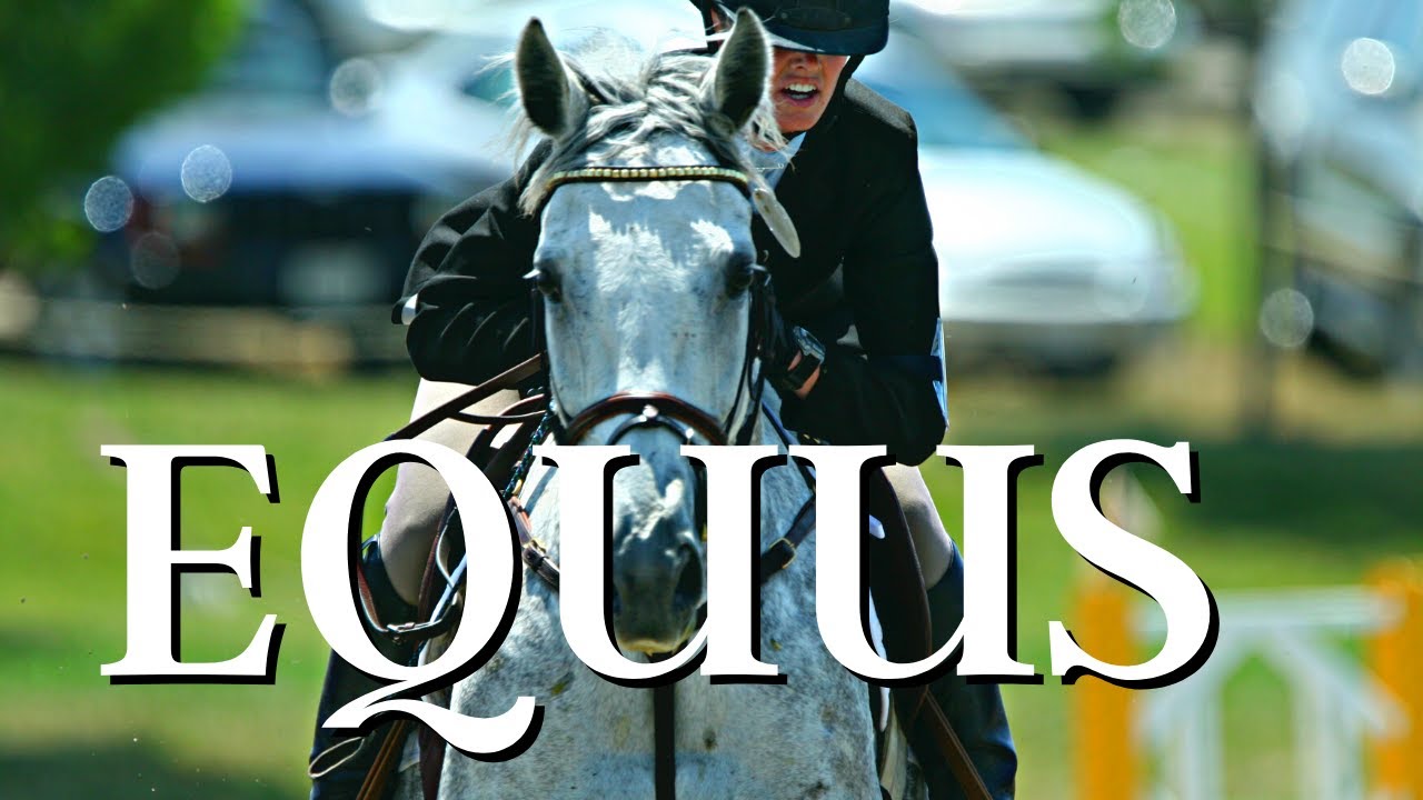 Discover EQUUS: An Upscale Equestrian Paradise in Boynton Beach, Florida #luxuryhomes