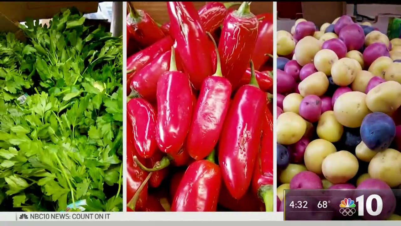 Community Gardeners Do Their Part in Climate Fight | NBC10