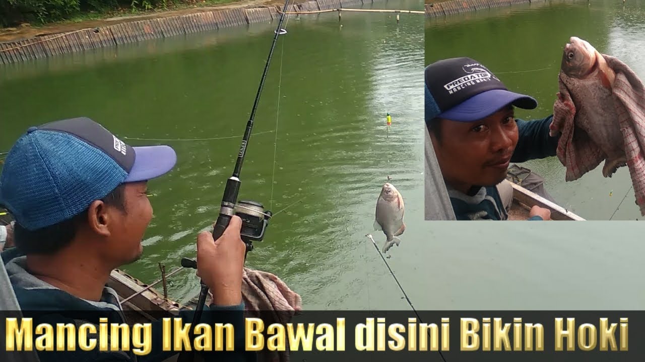 MANCING IKAN BAWAL || DI BEKASI || JATIMANIA