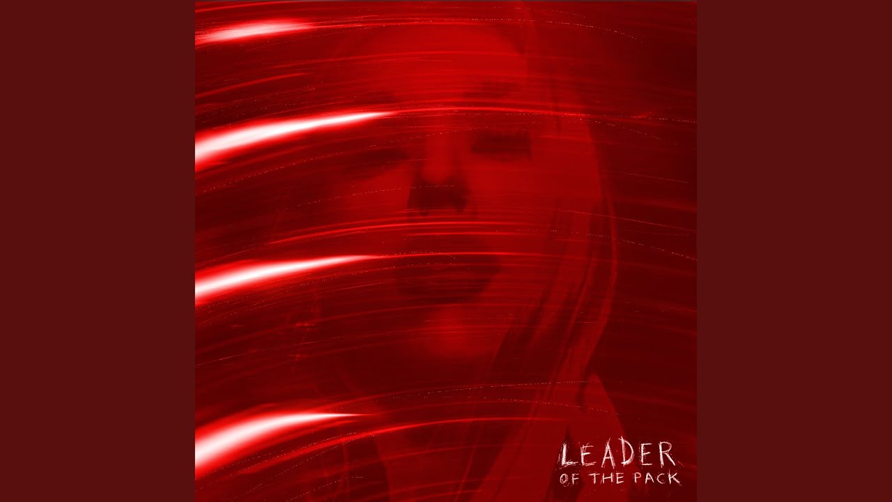 Leader Of The Pack