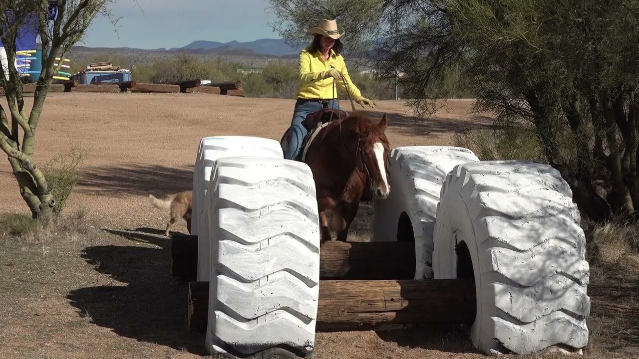 Fun at the Miller Ranch Obstacle Course
