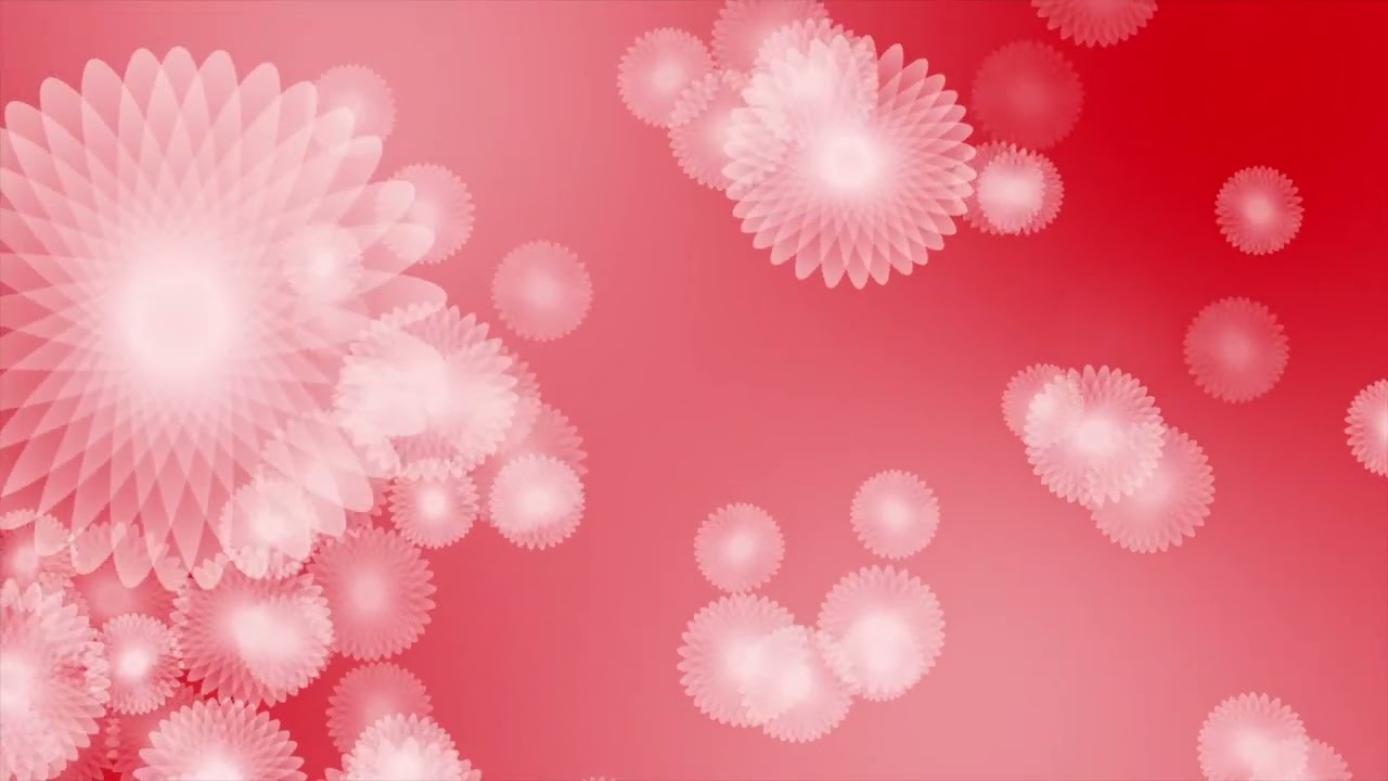 Red Spinning Moving Flower Gradient Free Background Video Clip | Various Background Clips