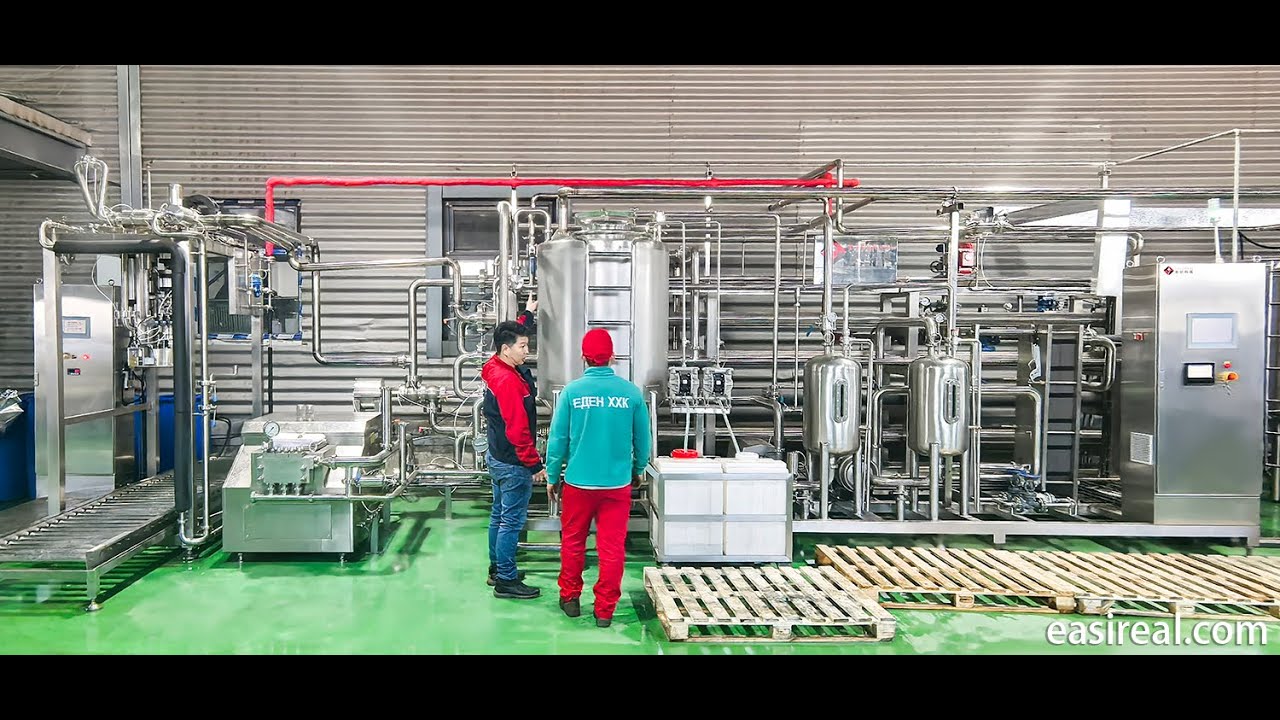 Shanghai EasyReal Successfully Commissions Carrot Processing Line for Mongolia’s Eden LLC