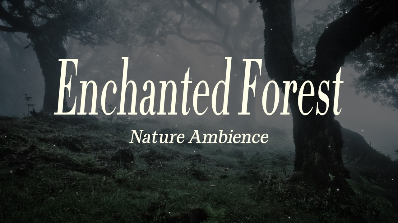 Resting in an Enchanted Forest 🌿 | No Music, Just Nature Sounds for Study, Reading & Sleep (1 Hour)