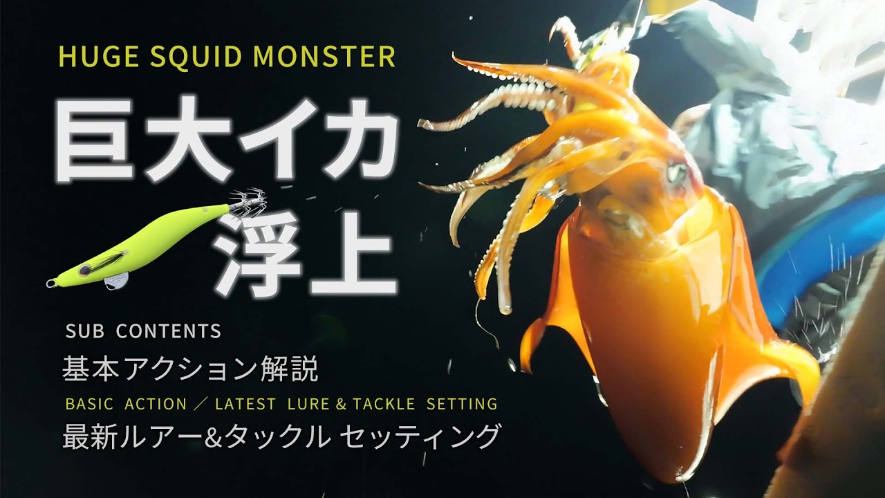 巨大イカ浮上!! タルイカ（ソデイカ）実釣&基本アクション｜最新ルアー『エギラ』&最新タックルの特長も解説