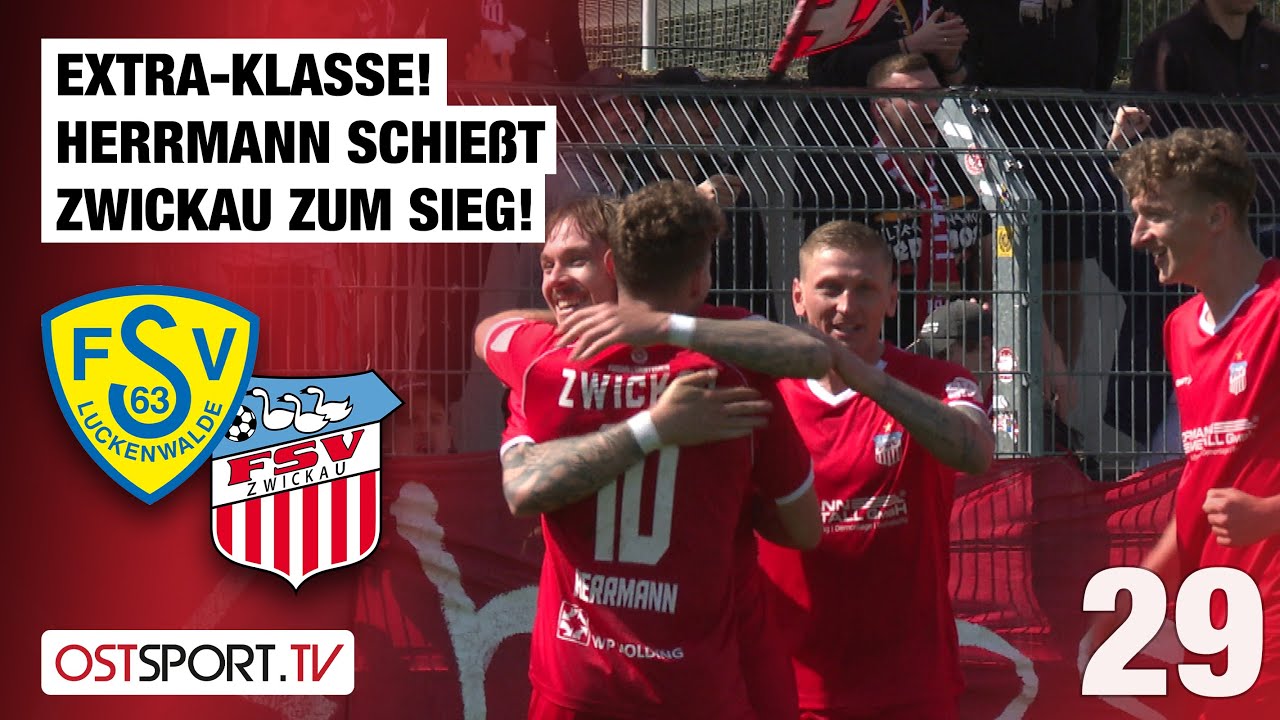 Extra-Klasse! Herrmann schießt Zwickau zum Sieg: Luckenwalde - Zwickau | Regionalliga Nordost