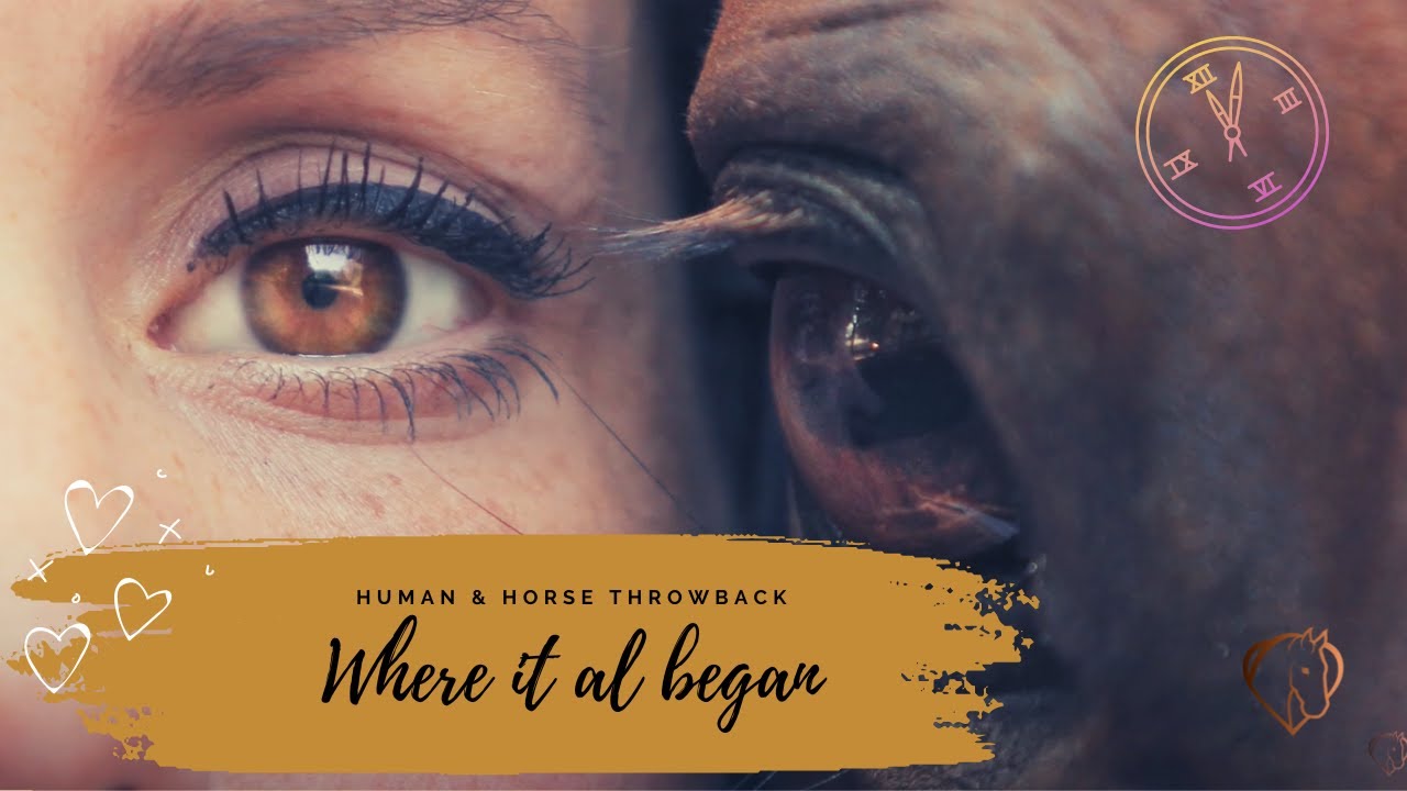 BONGO & GREETJE OUR FIRST ''STORY'' ABOUT NECKROPE DRESSAGE| Human & Horse Academy