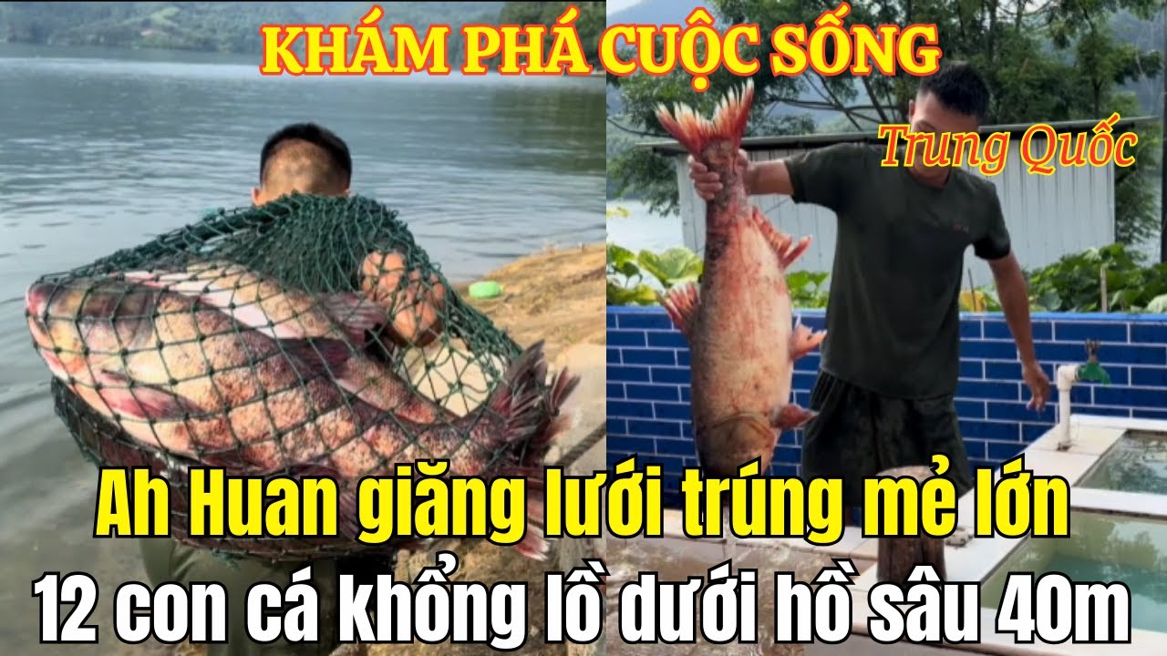 Cuộc sống ngư dân: Ah Huan giăng lưới và bắt được 12 con cá khổng lồ ẩn dưới vùng nước sâu 40m