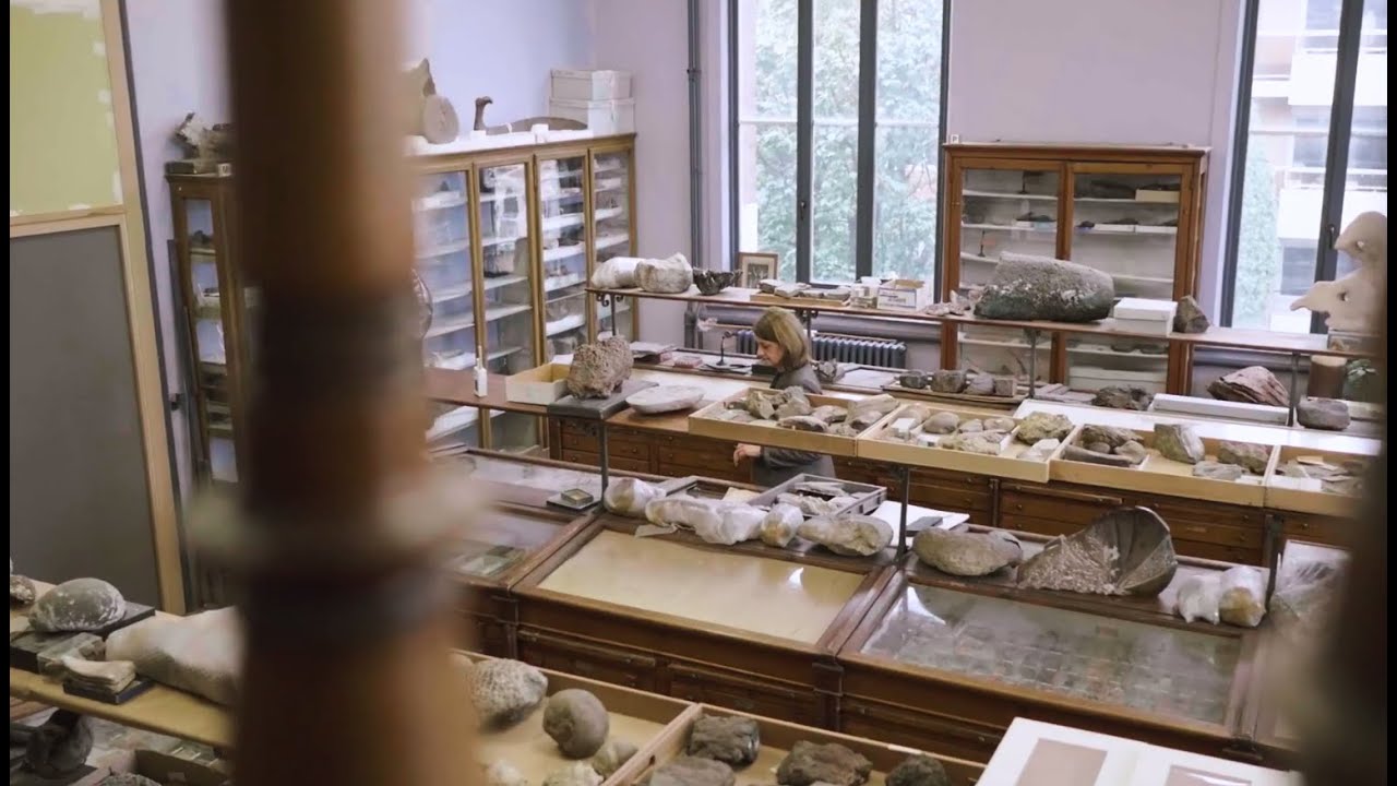 Nos invité.e.s parlent du Musée - Marie Pierre Bresson