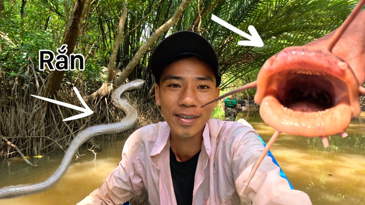 Lều Mình Dọc Theo Sông Lớn Mò Hang Bắt Cá Gặp Phải Thứ Dữ Cực Độc