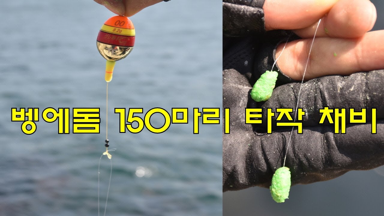 동해벵에돔 킬러  쌍바늘채비 구성법 (숨은 고수 장원석 시리즈 3-2)