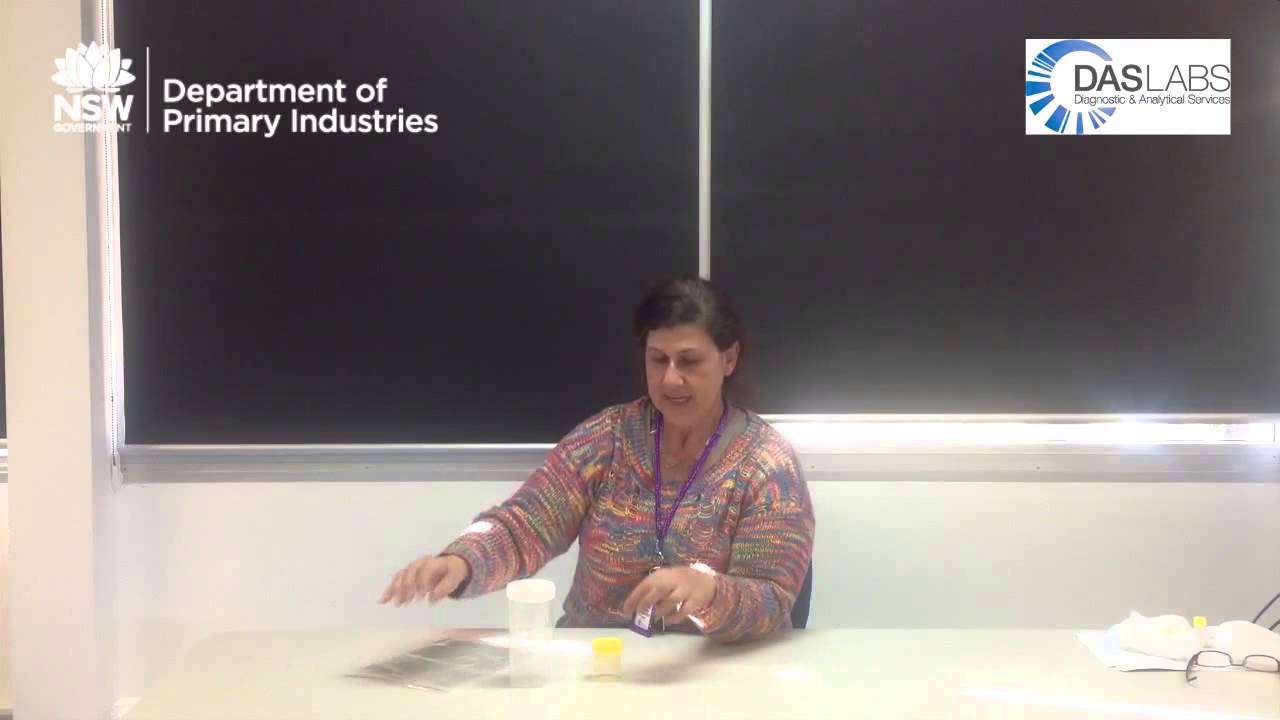 Packaging your samples in their secondary container for DAS at EMAI