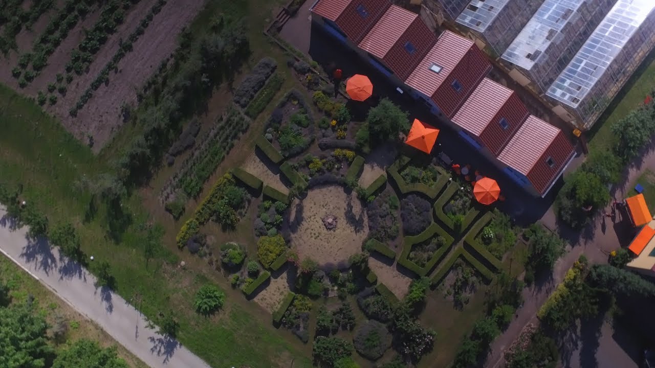Sanddorn-Garten Petzow