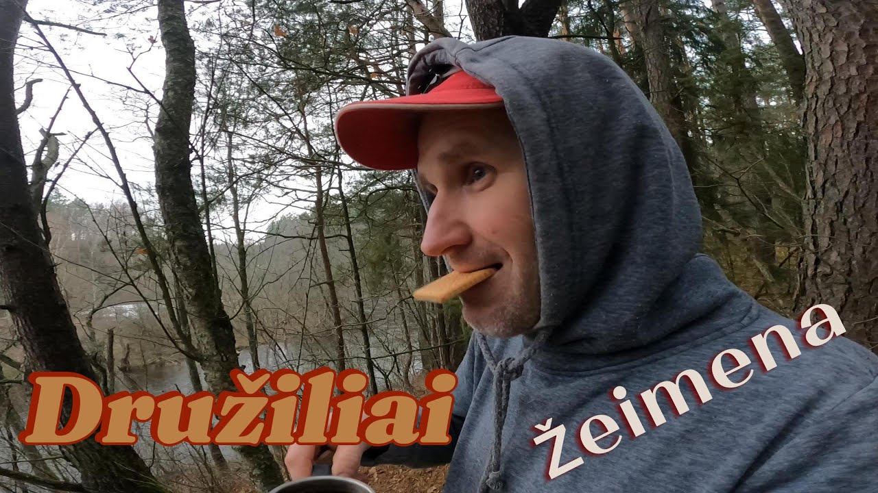 Druzilai