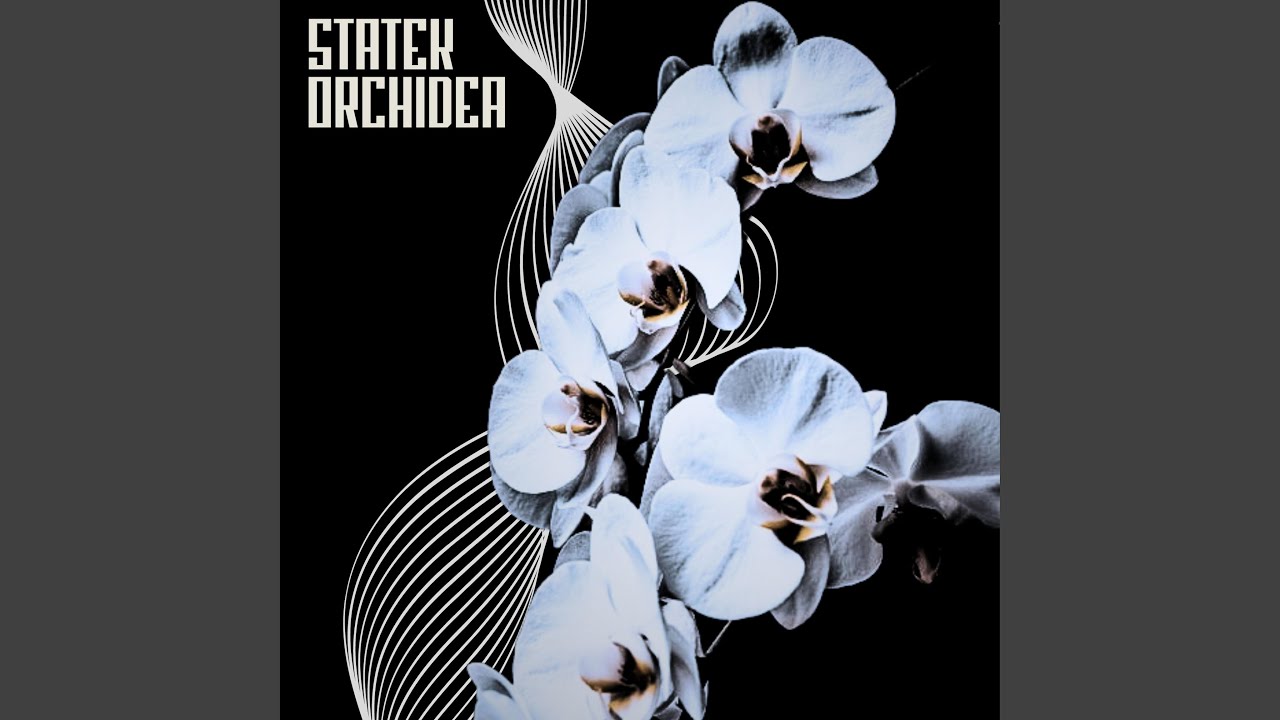 Orchidea