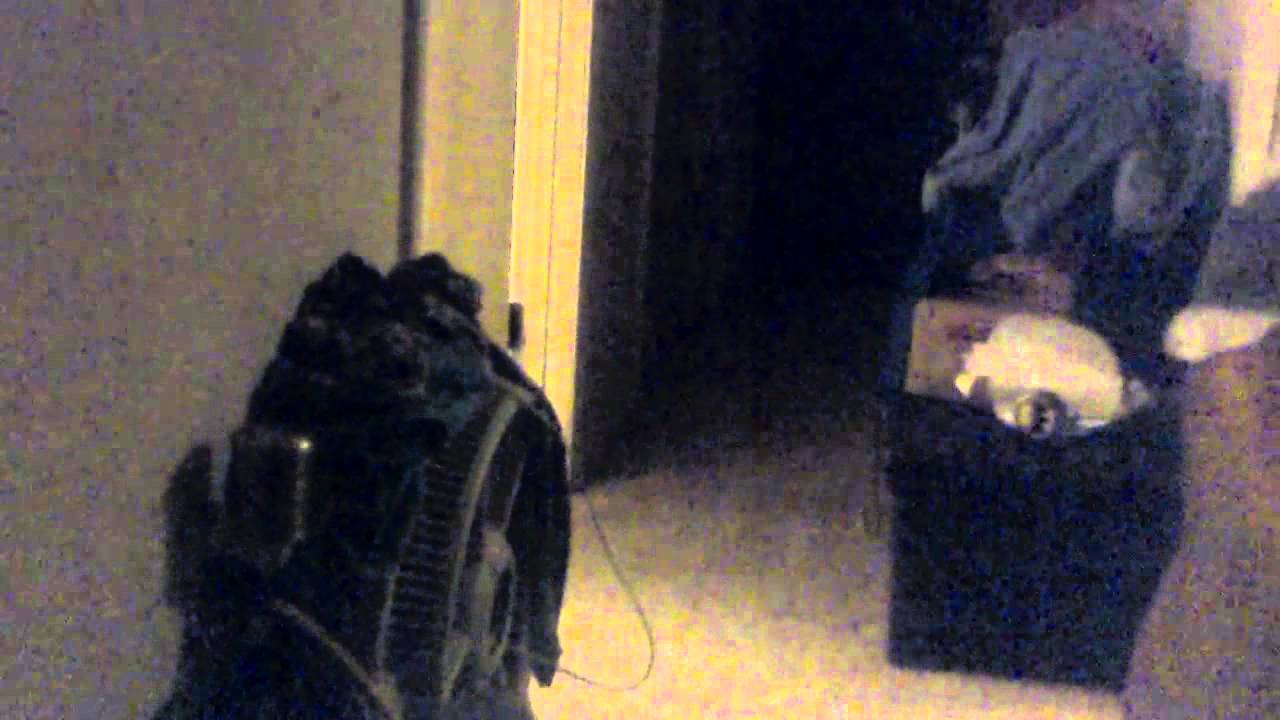 Paper airplane test flight-challenger fly 200 feet
