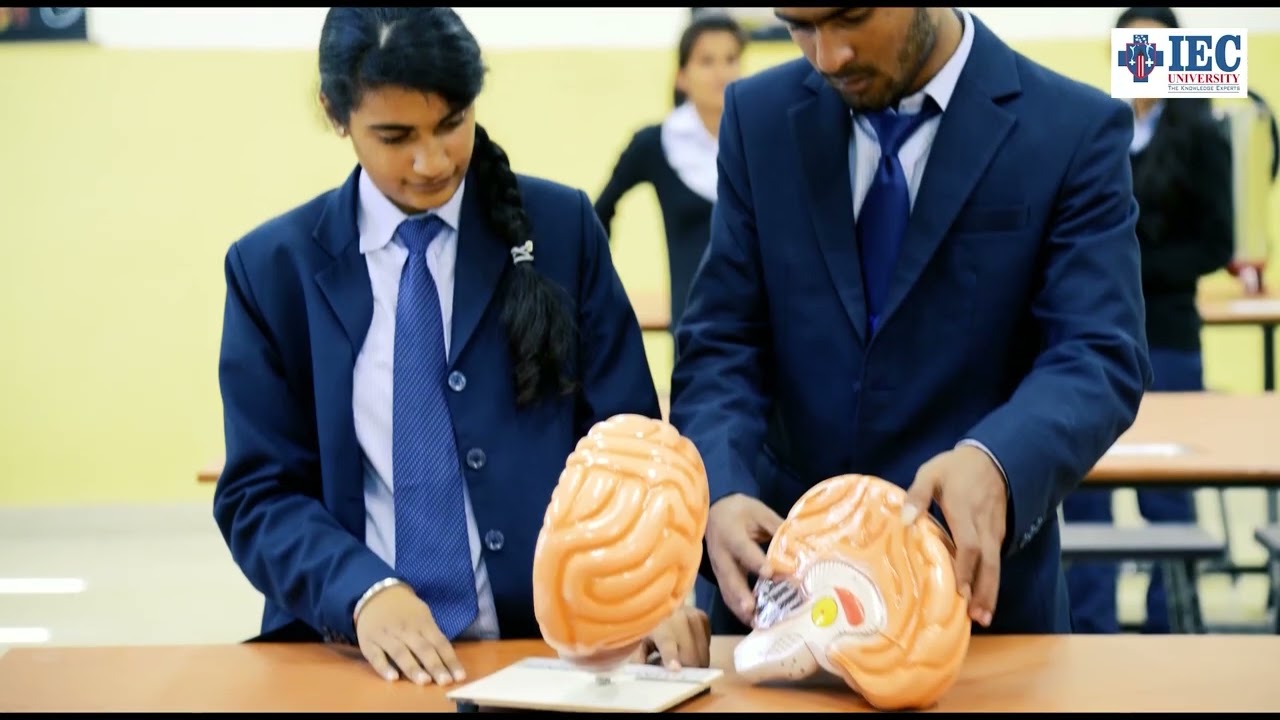 Experience At IEC | IEC UNIVERSITY | TOP PRIVATE UNIVERSITY IN INDIA | 100% PLACEMENT |