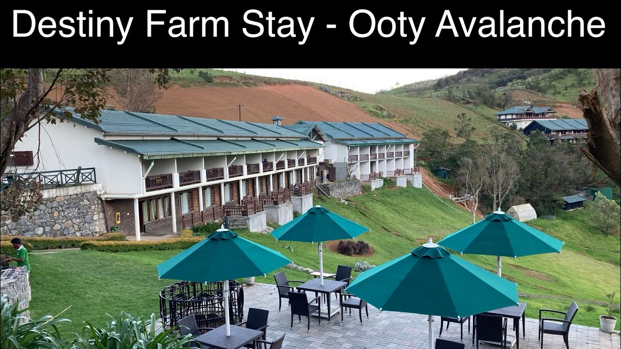Destiny Farm Stay || Tamil Vlog || Avalanche Ooty