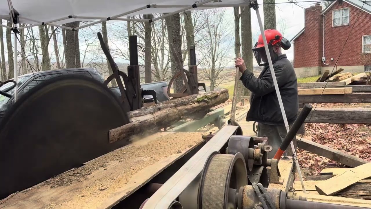 Sawing Some Long Dead Black Locust