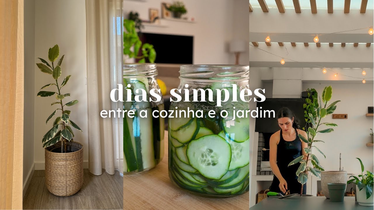 Lanche especial, pickles de pepino, molho de tomate, tratar das plantas e passeios bons