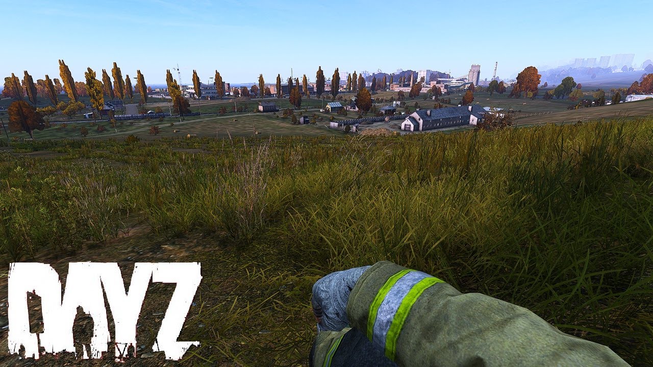 Surviving while Walking the line in DayZ