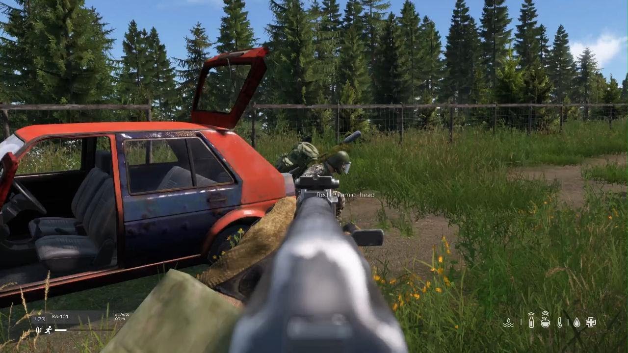 NEVER go afk in DayZ