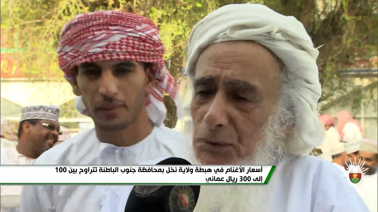 أسعار الأغنام في هبطة ولاية نخل بمحافظة جنوب الباطنة تتراوح بين 100 إلى 300 ريال عماني