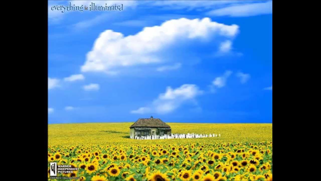 Little Johnatan - The Wall - Everything Is Illuminated