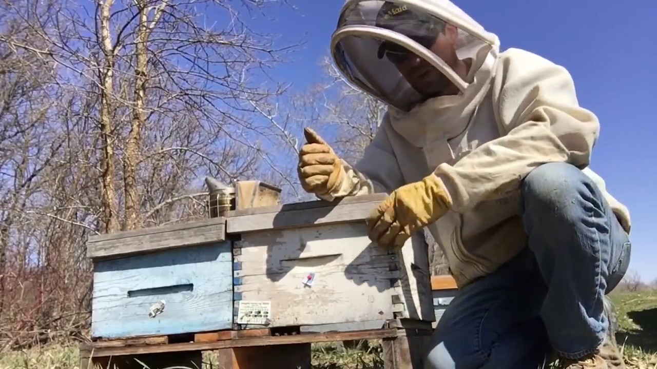 For those who want to hear more on adding space to my growing bee nest -May 7