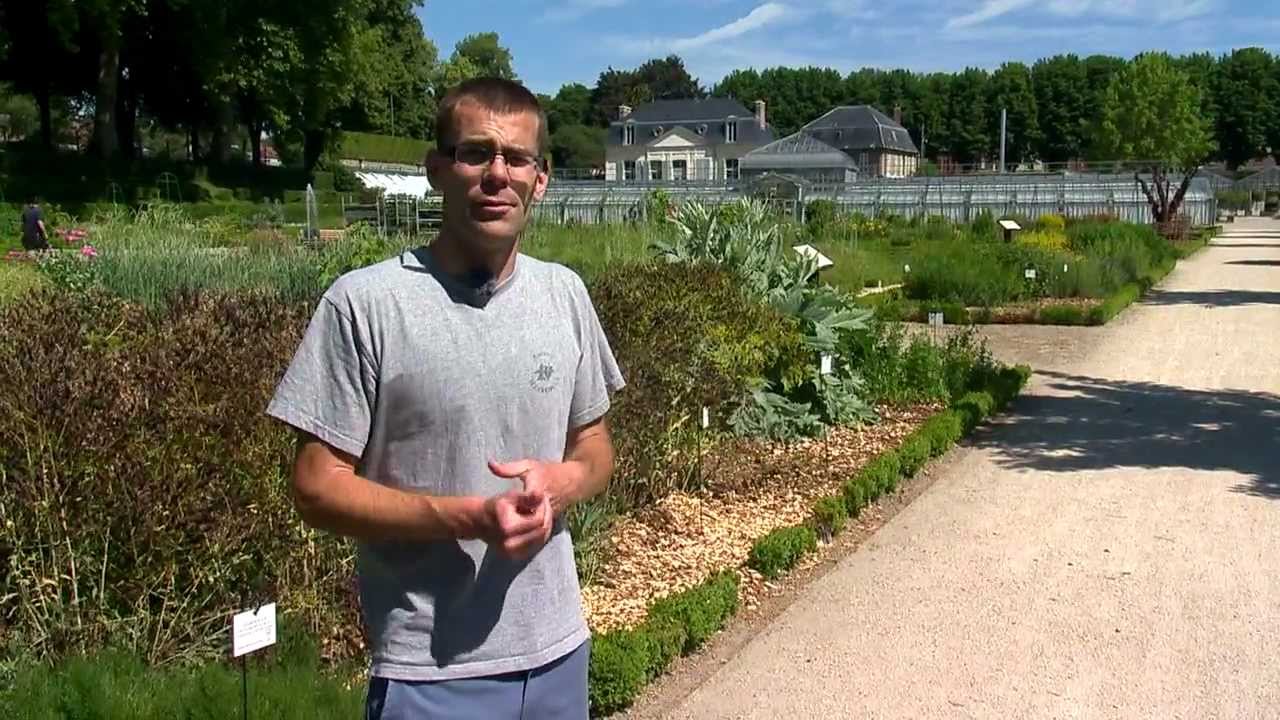 Jardin de Picardie : le Jardin des Plantes d'Amiens