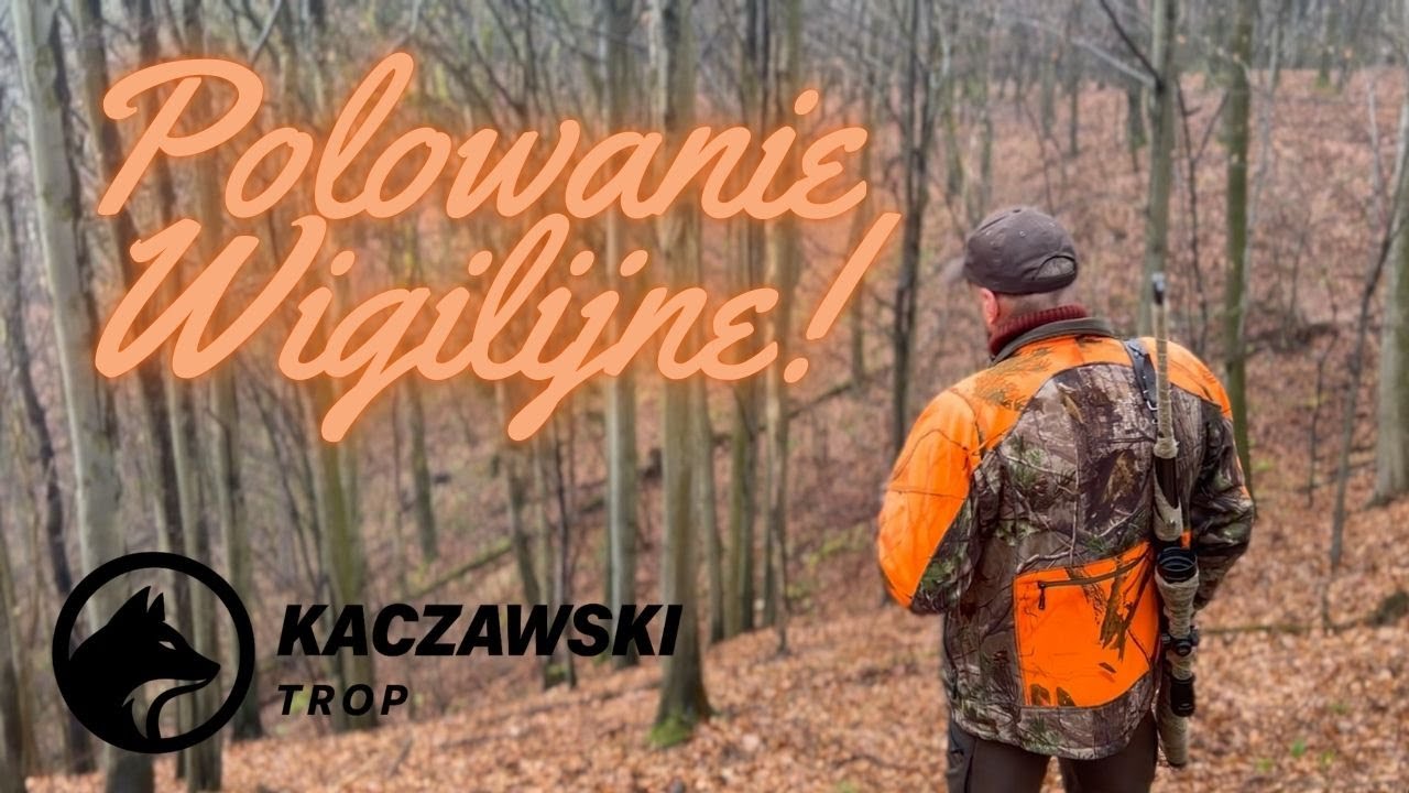 Wigilijne polowanie zbiorowe! / Christmas driven hunt!
