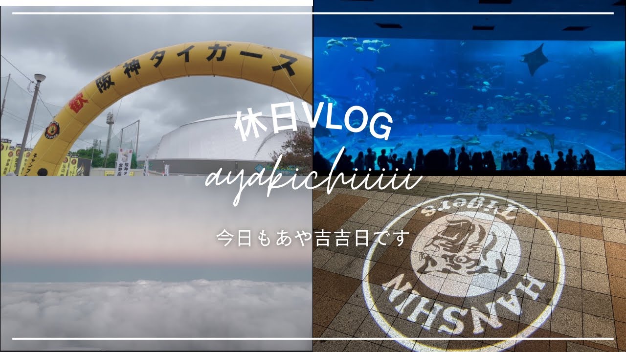 3泊4日沖縄キャンプ🌺60 #阪神タイガース #おでかけvlog #休日vlog #沖縄 #沖縄キャンプ #木浪聖也 #美ら海水族館 #沖縄旅行 