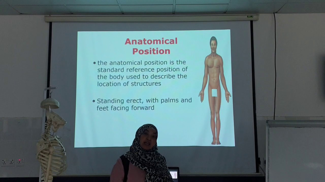 Anatomical Position and planes