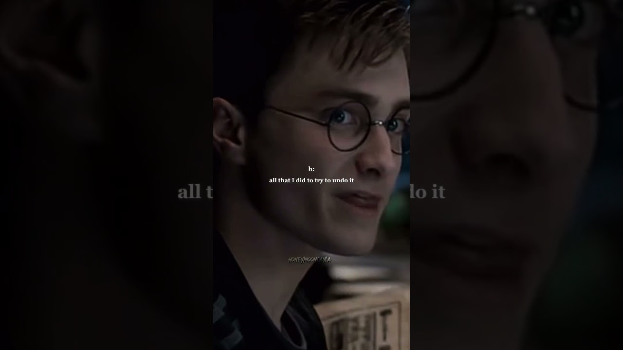#pov y/n potter argue with harry