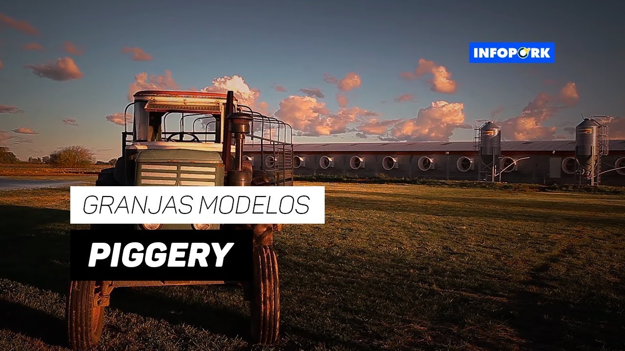 Granjas Modelo - Piggery