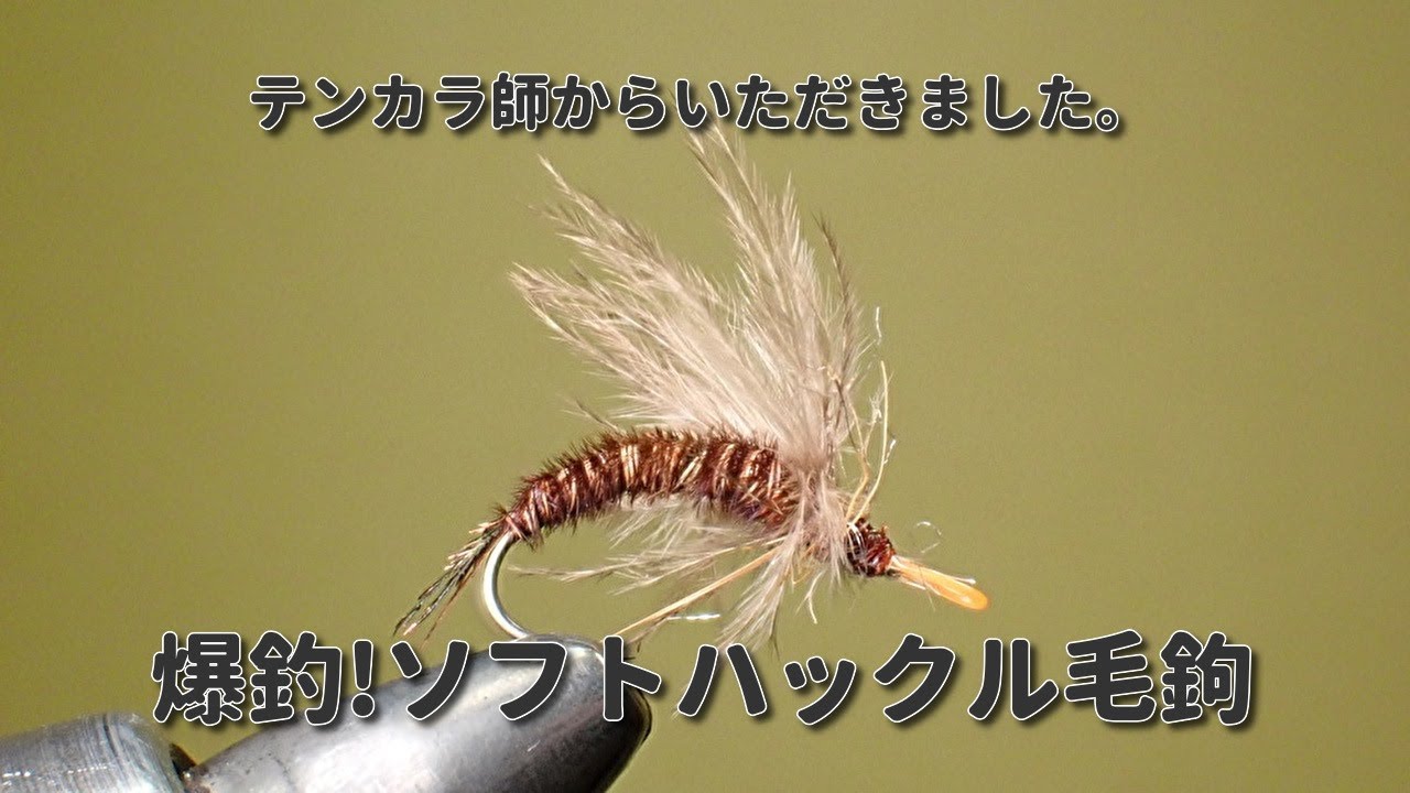テンカラ師からいただいた爆釣毛鉤を再現しました。
