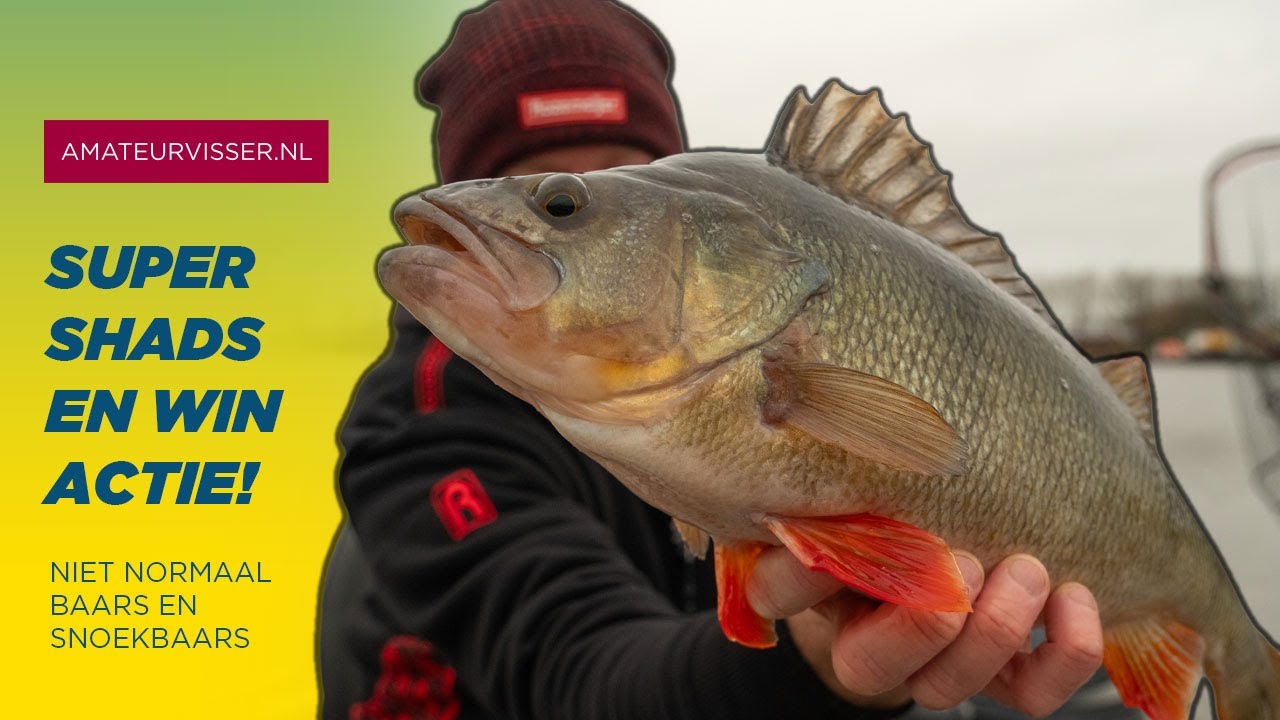 🤯 MEESTERLIJK VERTICALEN! ZO VEEL BAARS EN SNOEKBAARS GEVANGEN! (WINACTIE!)
