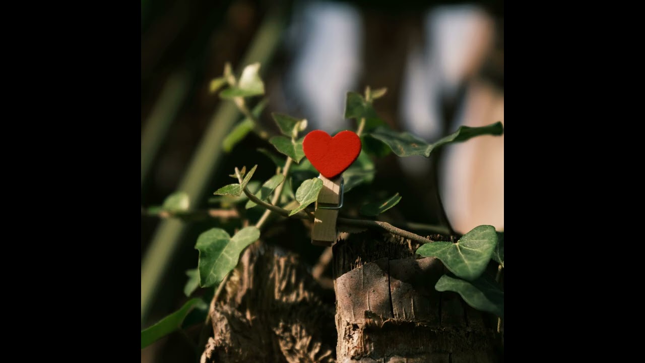 If Love Doesn’t Help You Grow, Stay Single—You Need Peace, Progress & Someone Who Adds Value