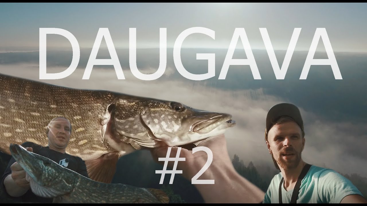 Dabas Bērns - Lielās Daugavas līdakas rudenī (pike fishing)