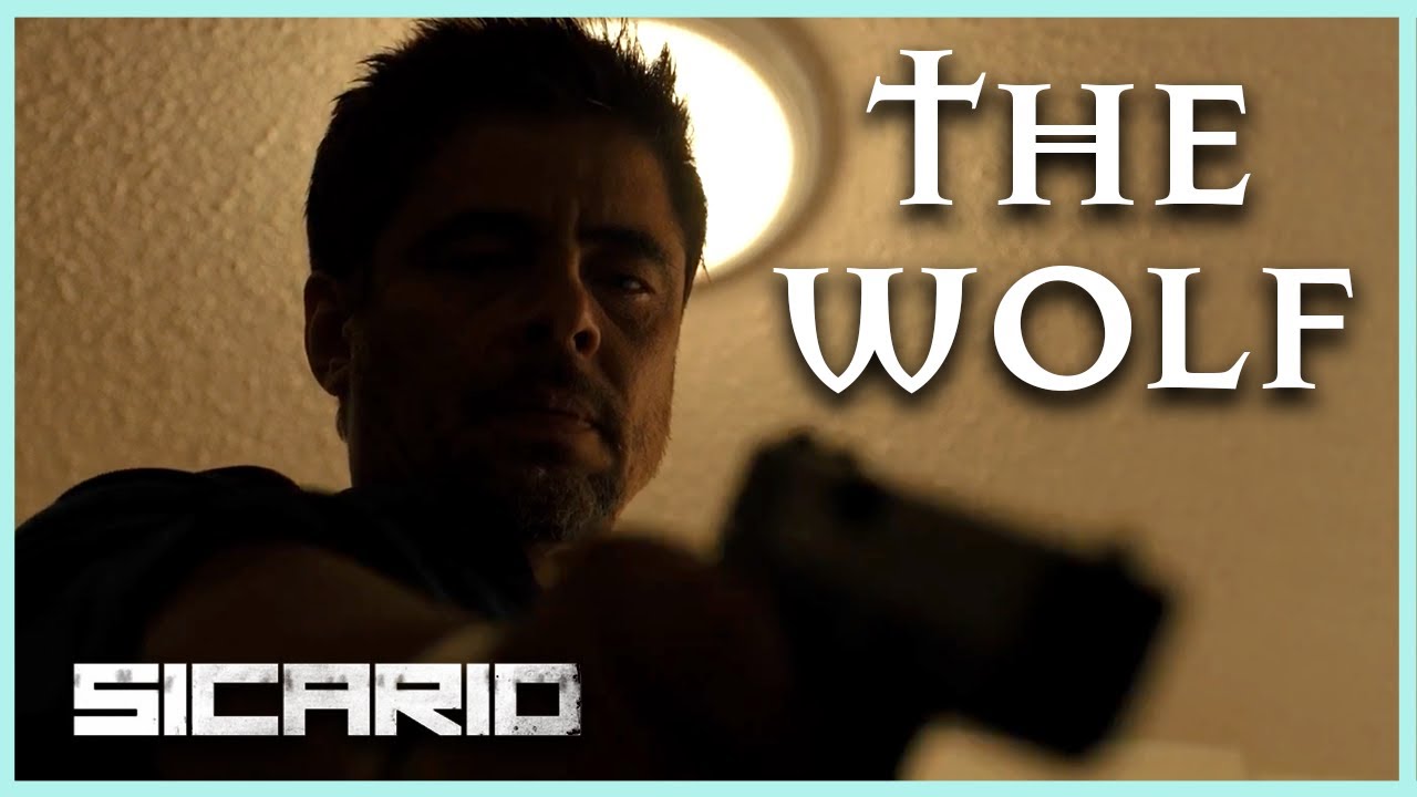 The Wolf of Juarez | Alejandro Character Analysis (Sicario)