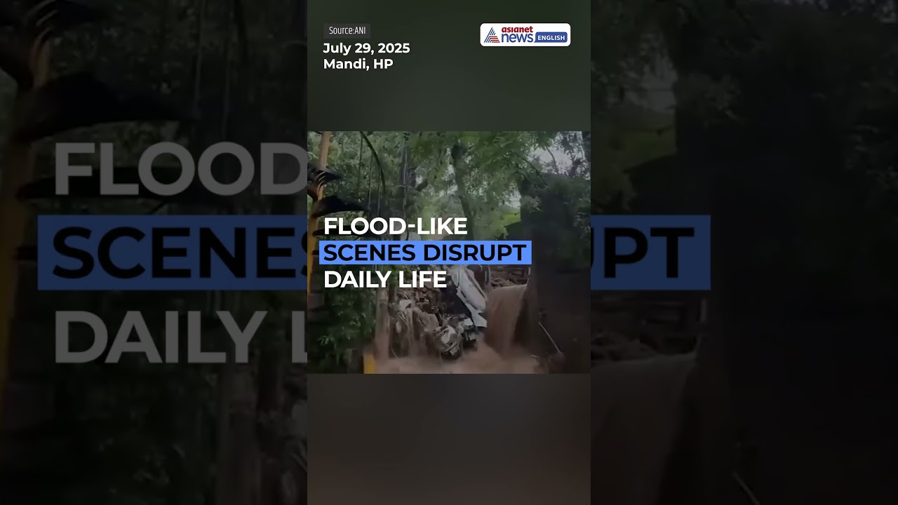 Himachal Heavy Rainfall: Flood-Like Situation in Mandi