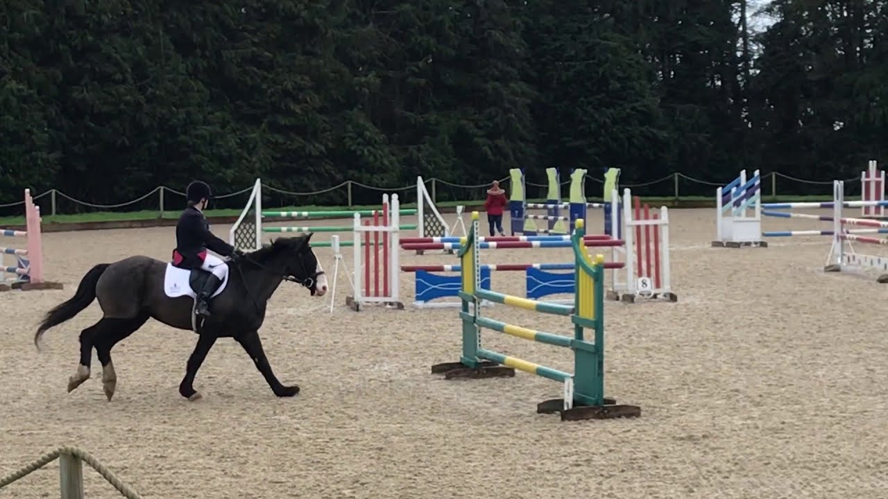 NSEA Showjumping | Bicton Arena