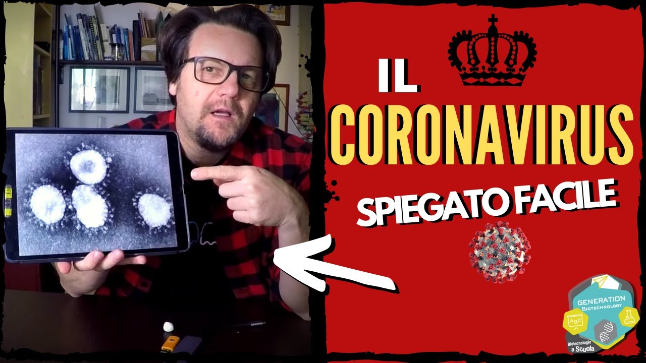 Il Coronavirus spiegato facile //Come funziona, come infetta, dove possiamo colpirlo.