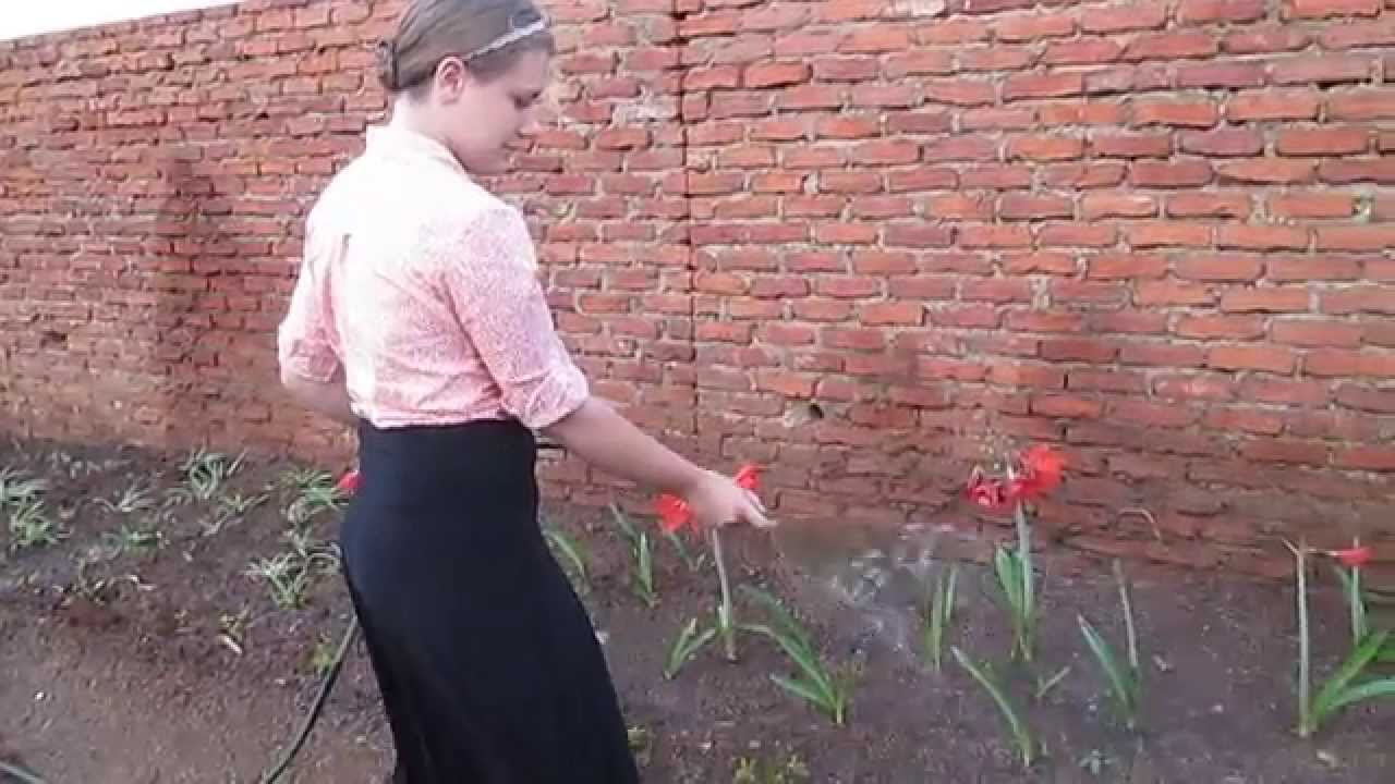 Watering a Garden in Lilongwe Malawi