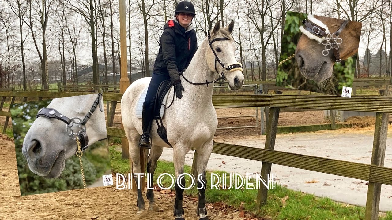 BITLOOS RIJDEN, gaat dat wel goed?! || Vds Stables