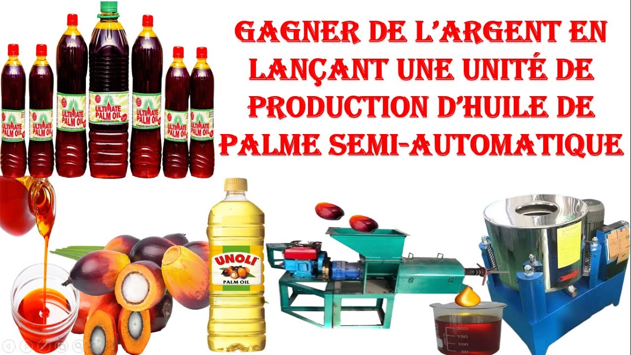Voici ce qu'il vous faut  pour lancer une unité de production d'huile de palme en Afrique