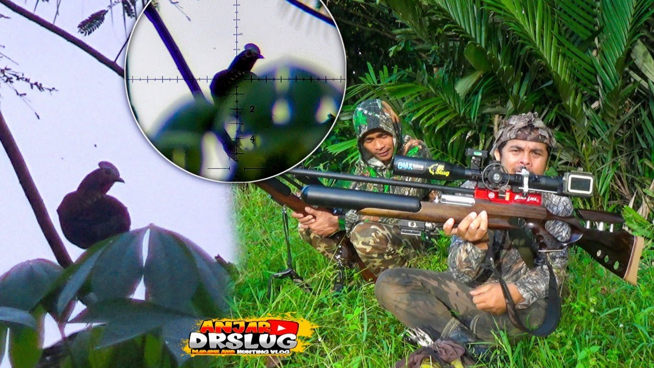 Perdana Bawa Hunting.! Black lava DRSlug a6 Bst mk3 15g 1060fps😎Auto Point.! 