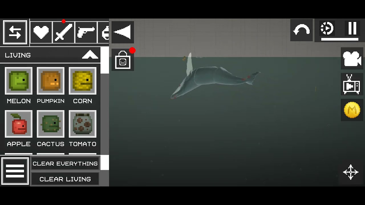 Humpback whale showcase in melon sandbox 